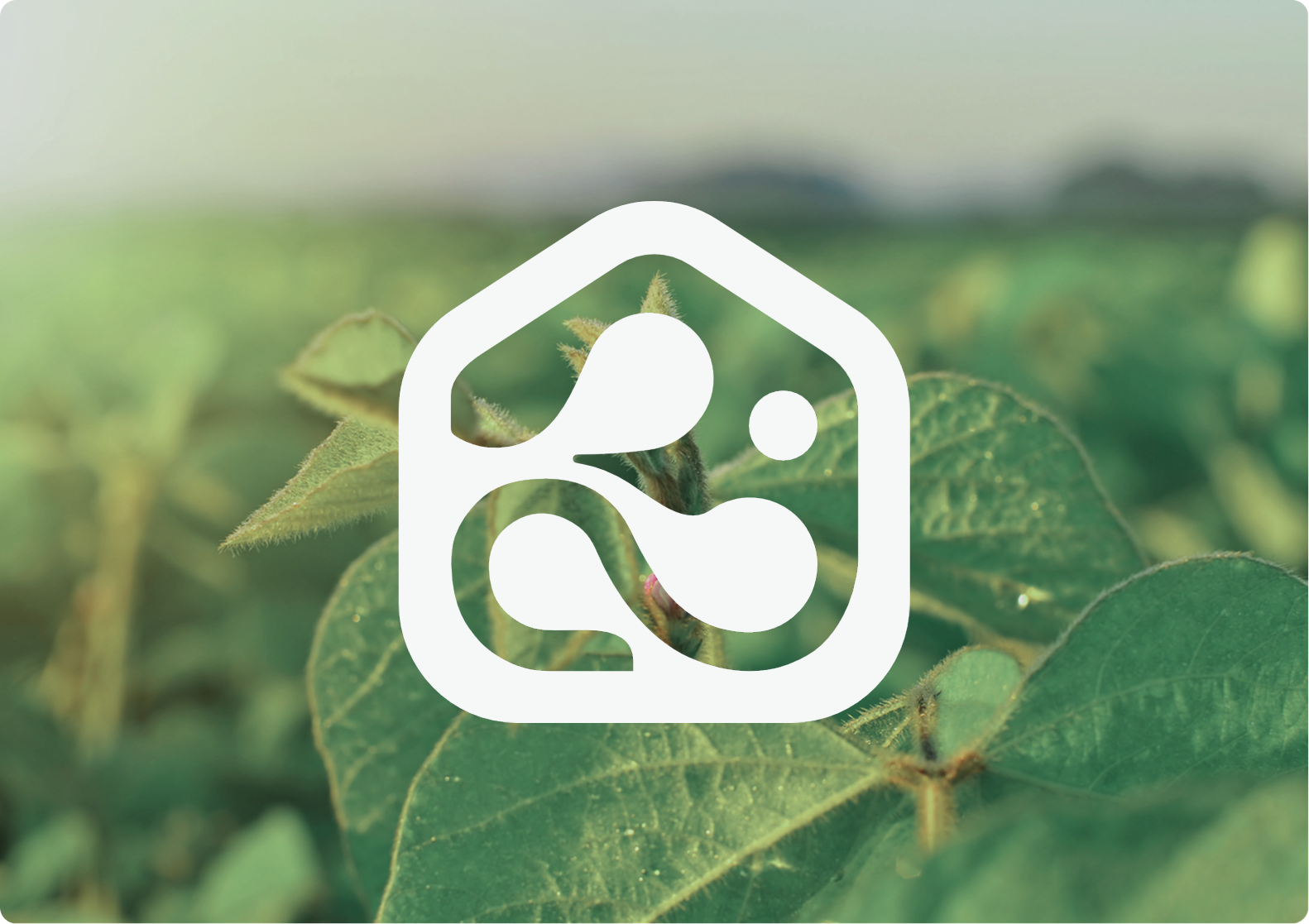 Símbolo de BigGrower aplicado sobre un cultivo