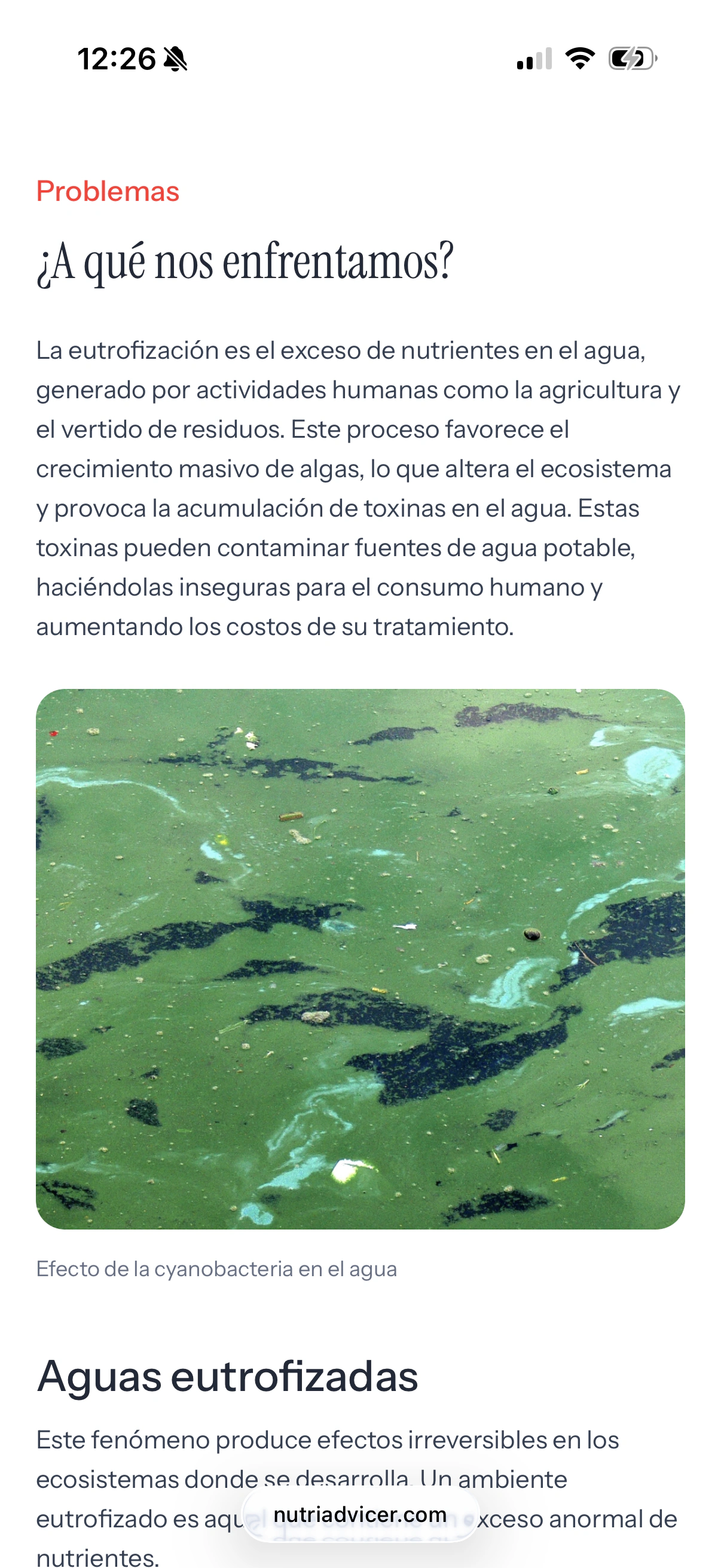 Página de problemas medioambientales de NutriAdvicer en móvil
