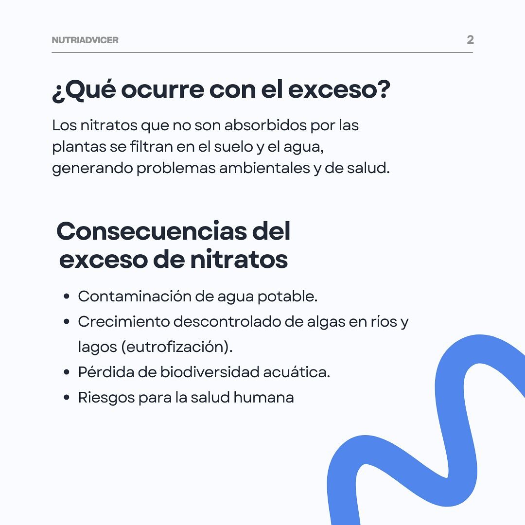 Consecuencias del exceso de nitratos