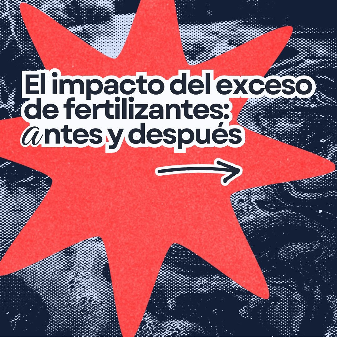 Portada sobre el impacto del exceso de fertilizantes