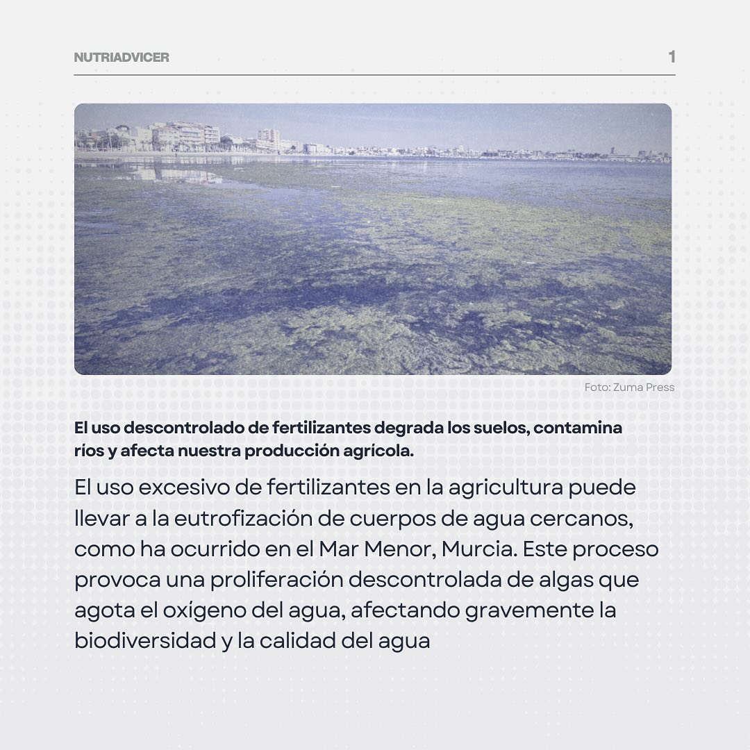 Impacto de los fertilizantes antes